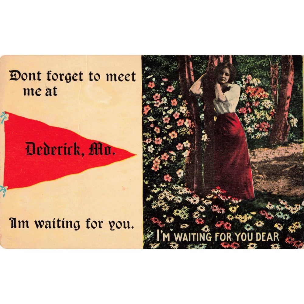 Vintage 1913 Dederick Missouri Postcard Red Pennant Romantic Garden Scene VG - Picture 1 of 2